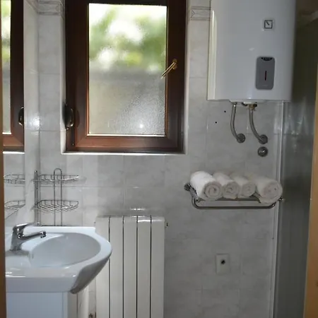 Max With Parking 罗维尼